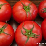 トマトを食べて、がんや生活習慣病を予防・老化を防止し美肌で健康に！